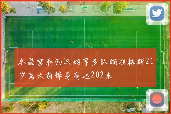 水晶宫和西汉姆等多队瞄准梅斯21岁高大前锋身高达202米
